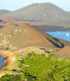 Galapagos