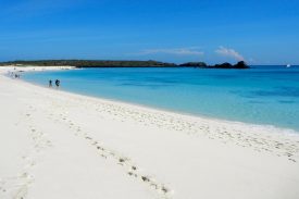 Footprints in the sand