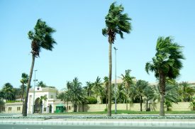 King's Guest Houses