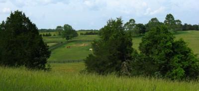 Virginia