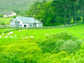 Farm house