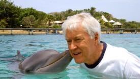 Swim with the dolphins