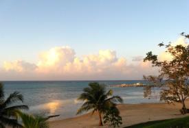 Piece of Paradise