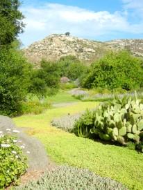 Spa Gardens
