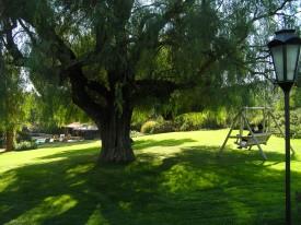 Spa lawn view