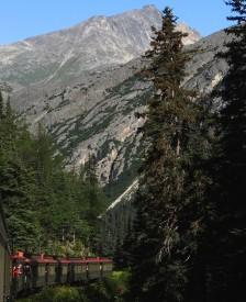 Narrow gauge railroad