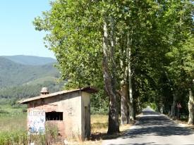 Typical Road View