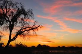 Botswana sunset