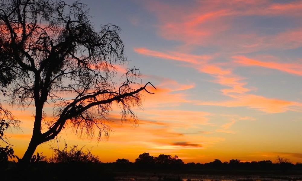 Botswana sunset