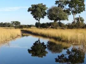 Land and Water