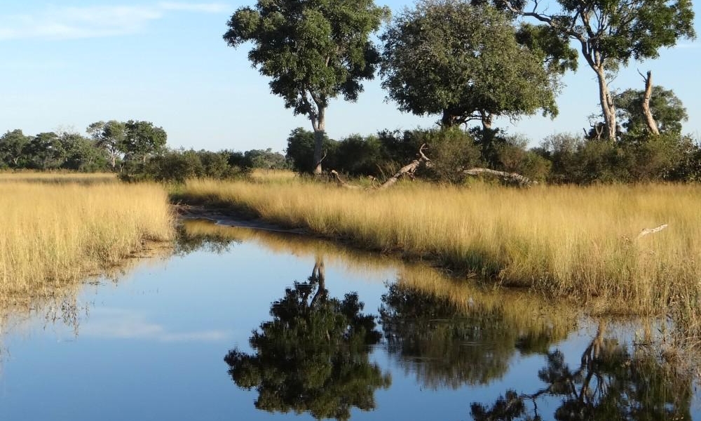 Land and Water