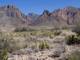 Big Bend National Park, Texas
